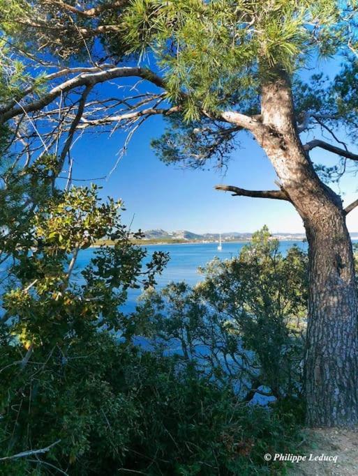 T2: 45m2 :4 Places :independant Dans Hyères